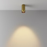 Потолочный светильник MAYTONI FOCUS LED C056CL-L12W2,7K-W-BS